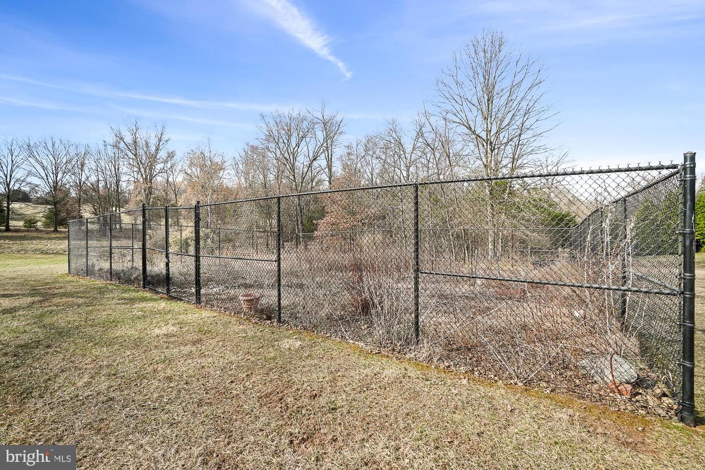 14920 Mount Nebo Road photo 110