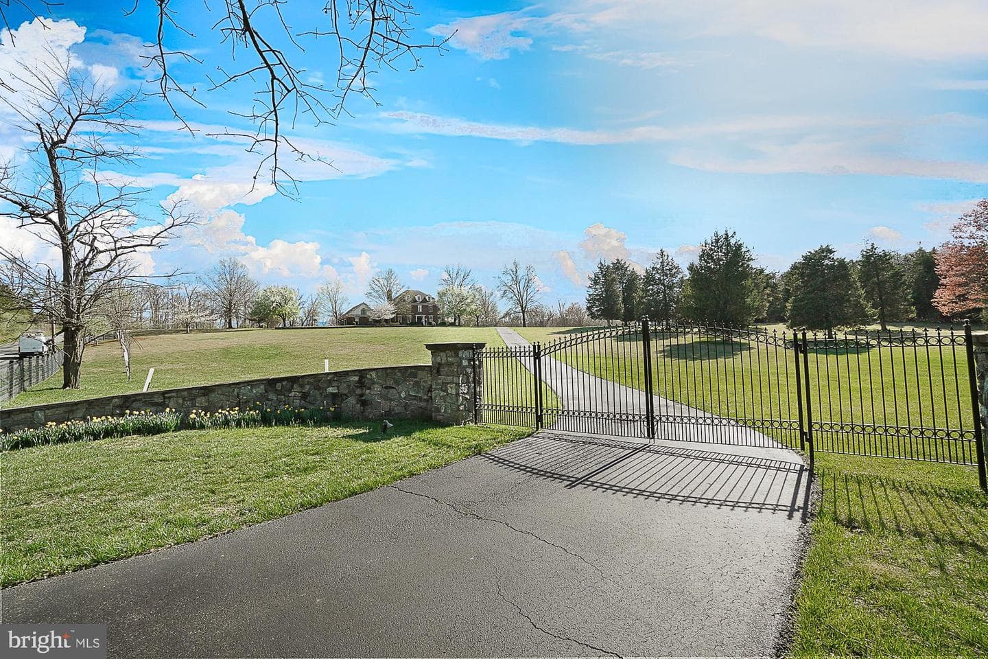 14920 Mount Nebo Road photo 8