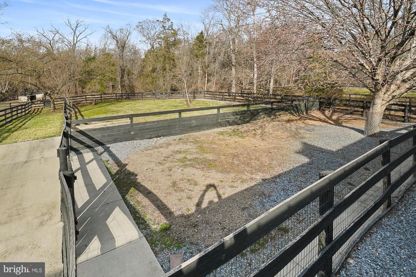 14920 Mount Nebo Road photo 97