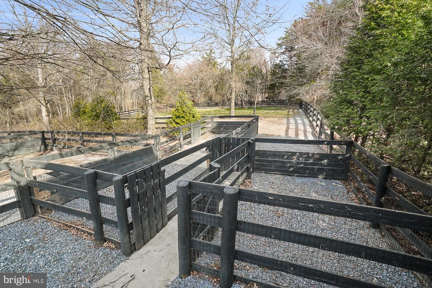 14920 Mount Nebo Road photo 99