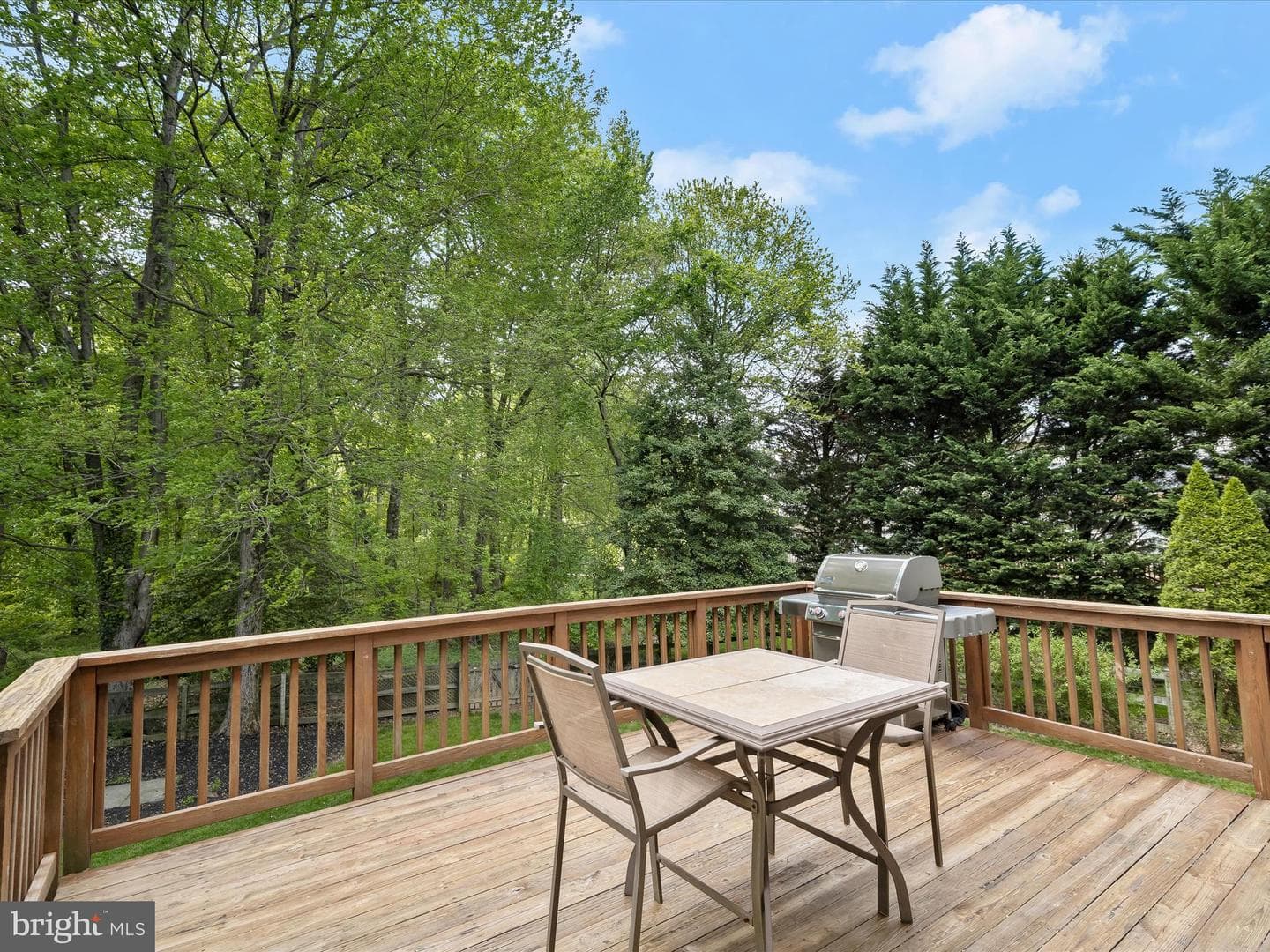 4403 Winding Oak Drive photo 30