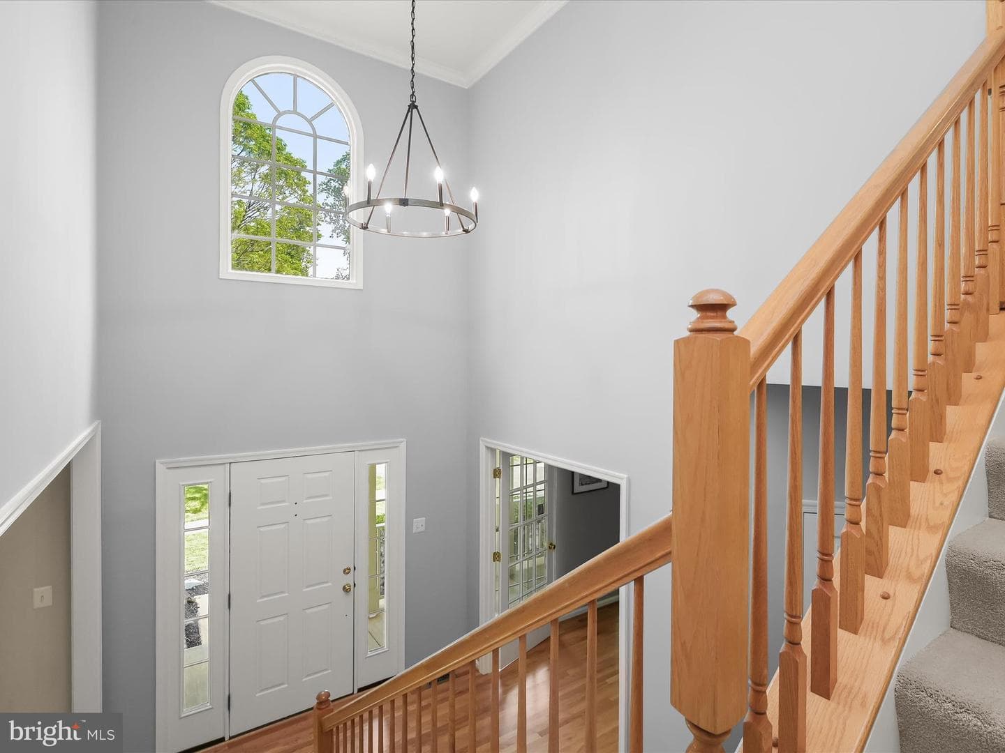 4403 Winding Oak Drive photo 39