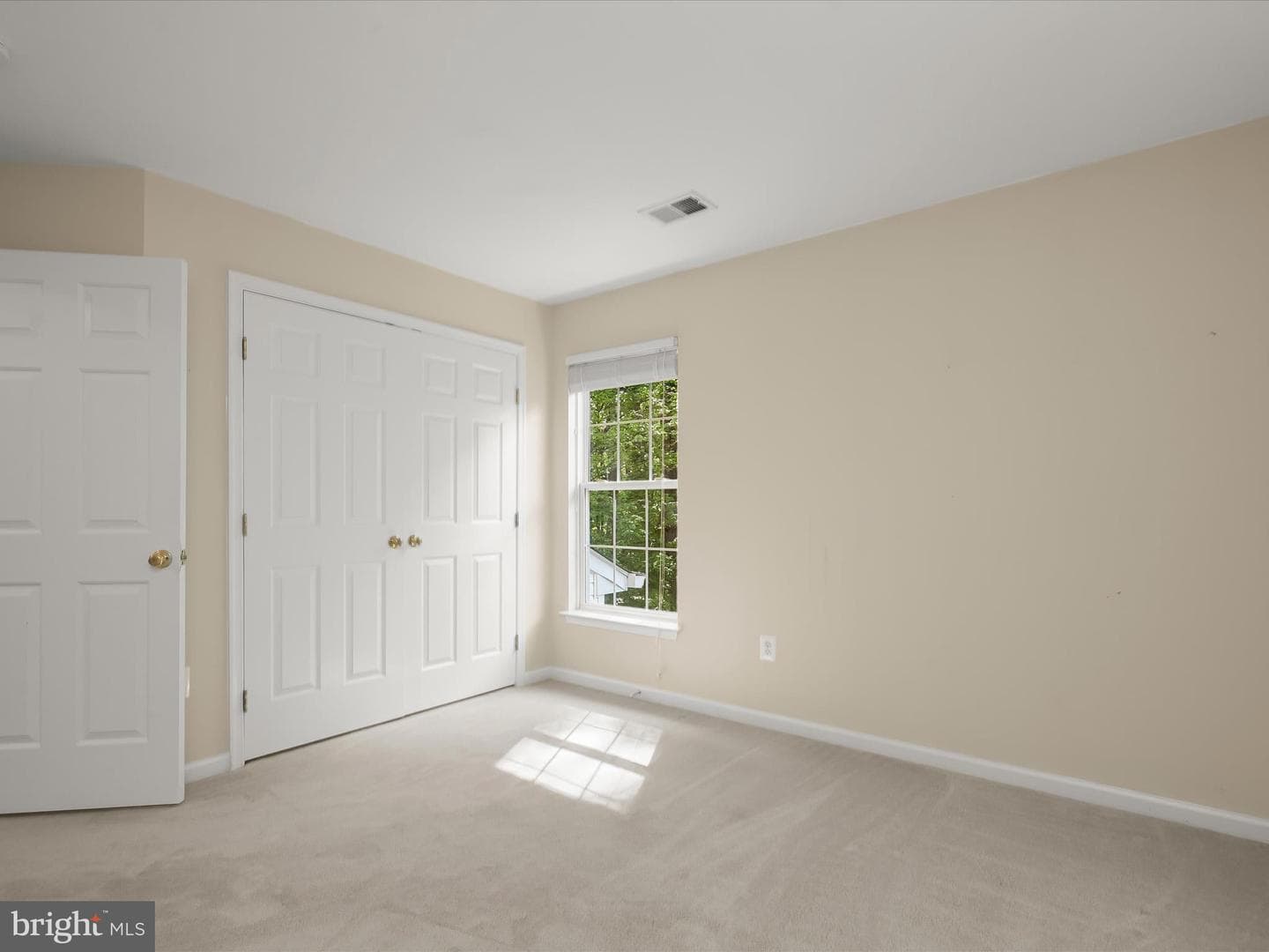 4403 Winding Oak Drive photo 53