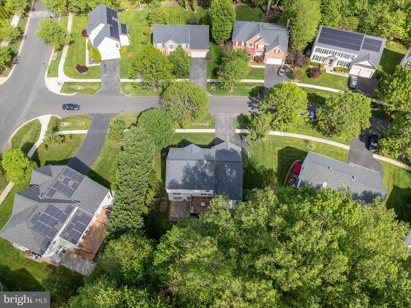 4403 Winding Oak Drive photo 89