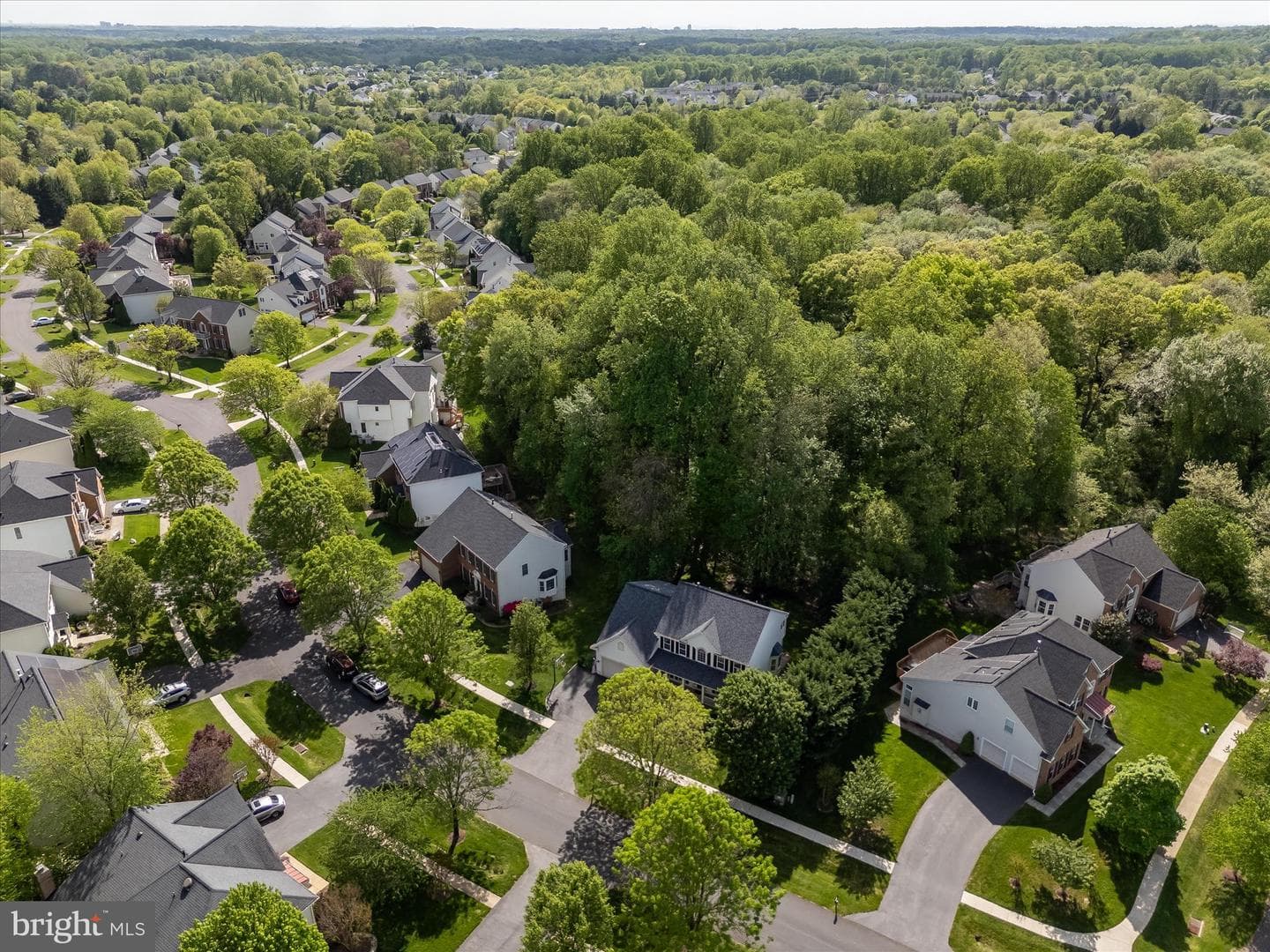 4403 Winding Oak Drive photo 95