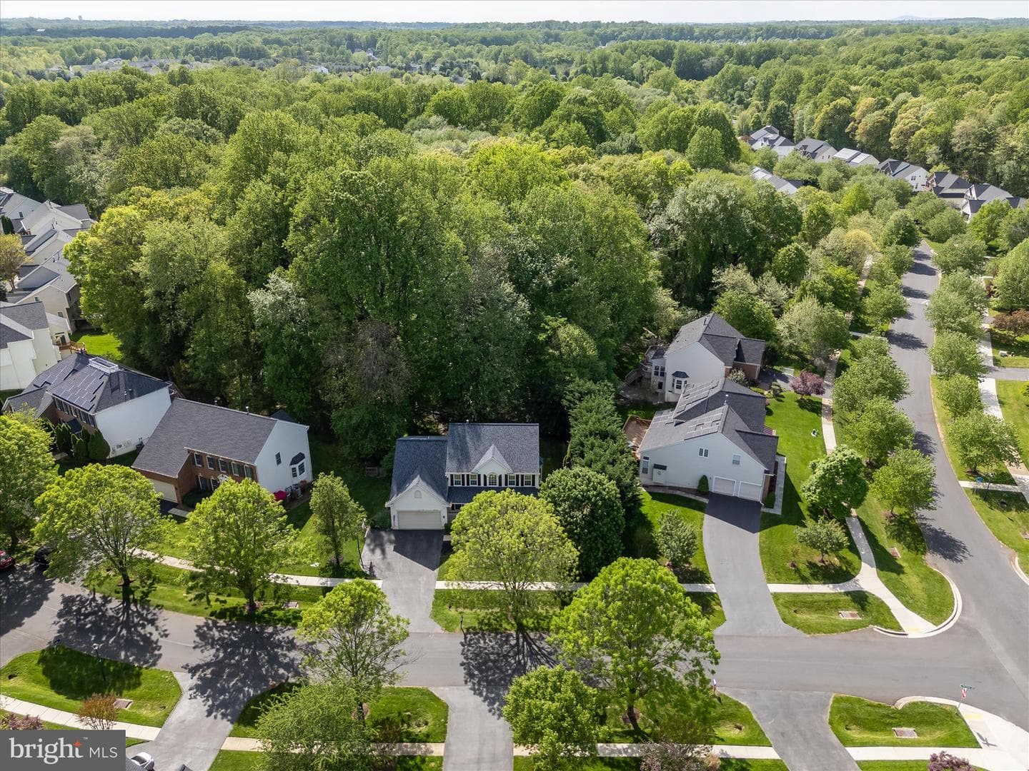 4403 Winding Oak Drive photo 98