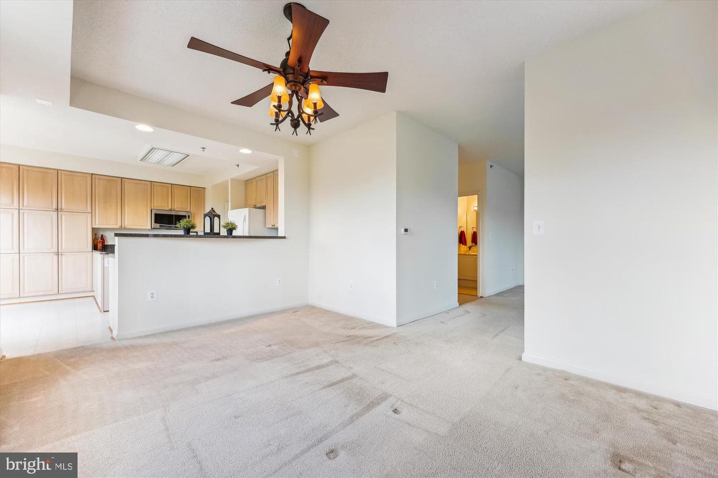 3100 N Leisure World Boulevard #507 photo 10