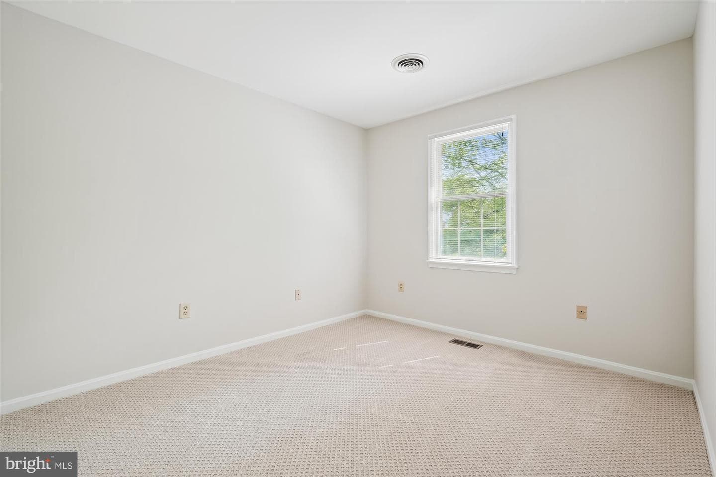 14612 Carona Drive photo 30