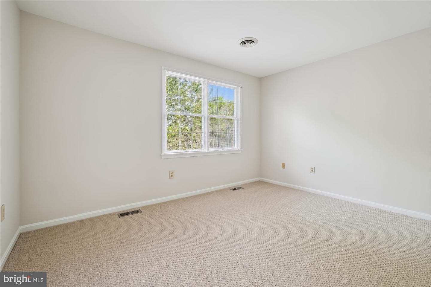 14612 Carona Drive photo 33