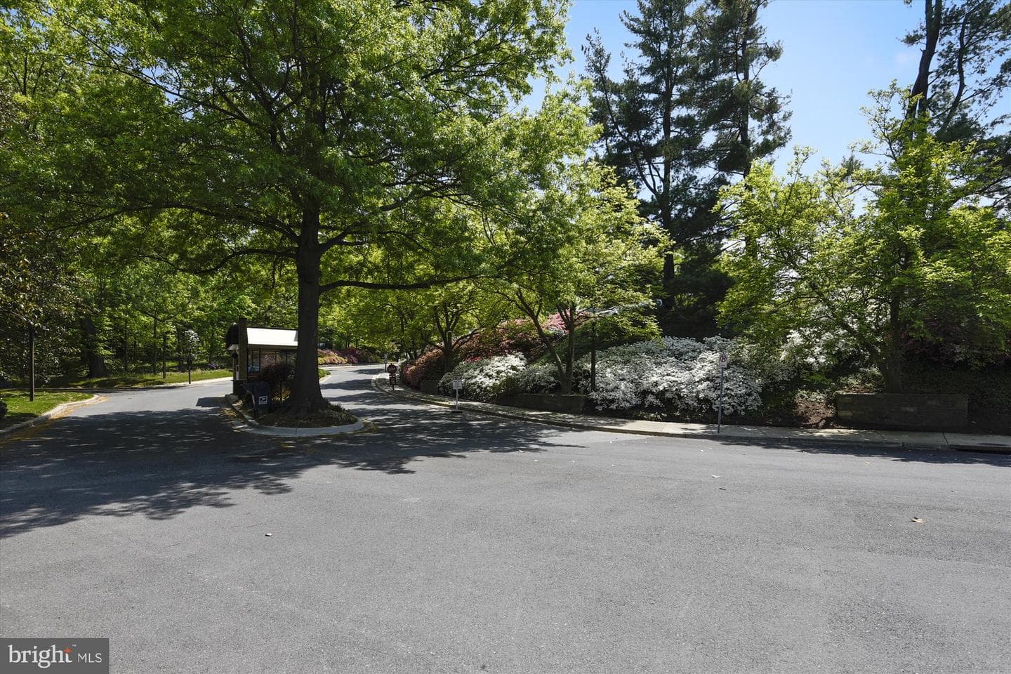 4978 Sentinel Drive #12-503 photo 37