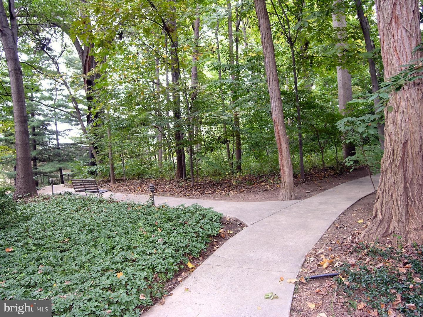 4978 Sentinel Drive #12-503 photo 53