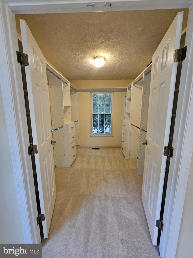 303 Saybrooke View Drive photo 14