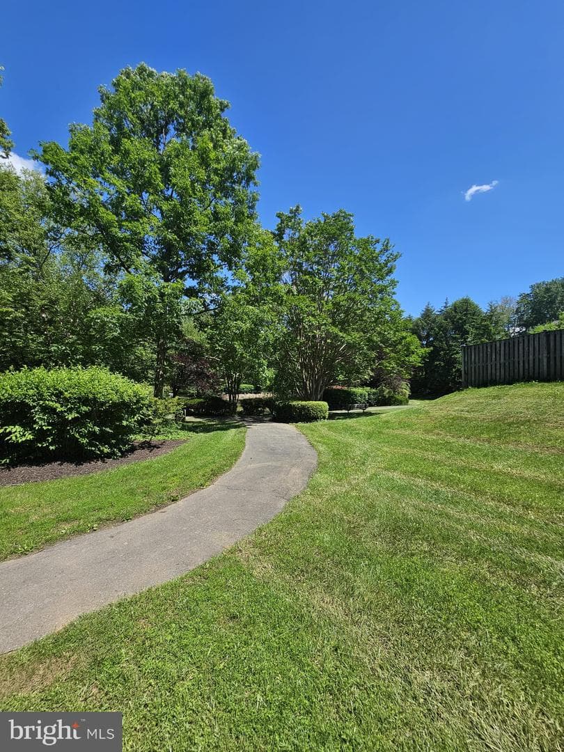 303 Saybrooke View Drive photo 23