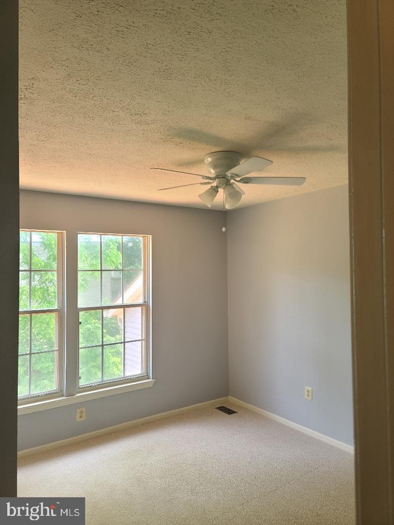 303 Saybrooke View Drive photo 49