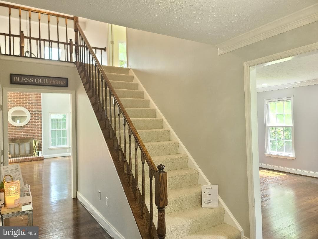 303 Saybrooke View Drive photo 65