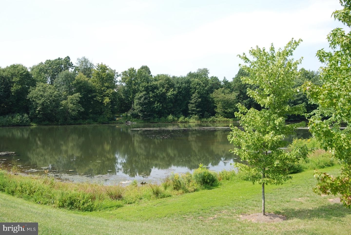 130 Chevy Chase Street #404 photo 36