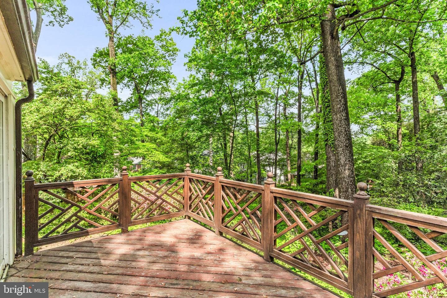 1529 Red Oak Drive photo 11