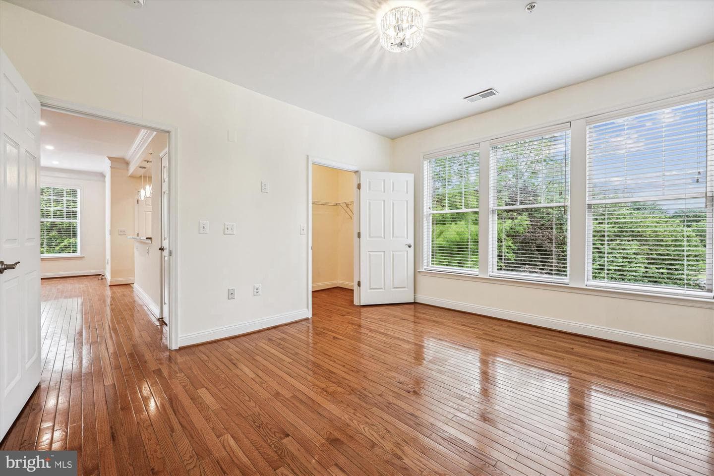 110 Chevy Chase Street #205 photo 10