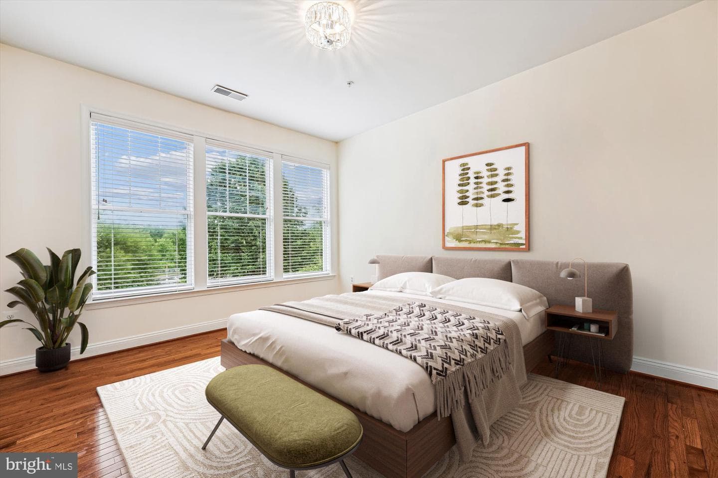 110 Chevy Chase Street #205 photo 9
