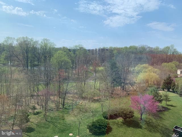 3100 N Leisure World Boulevard #506 photo 2
