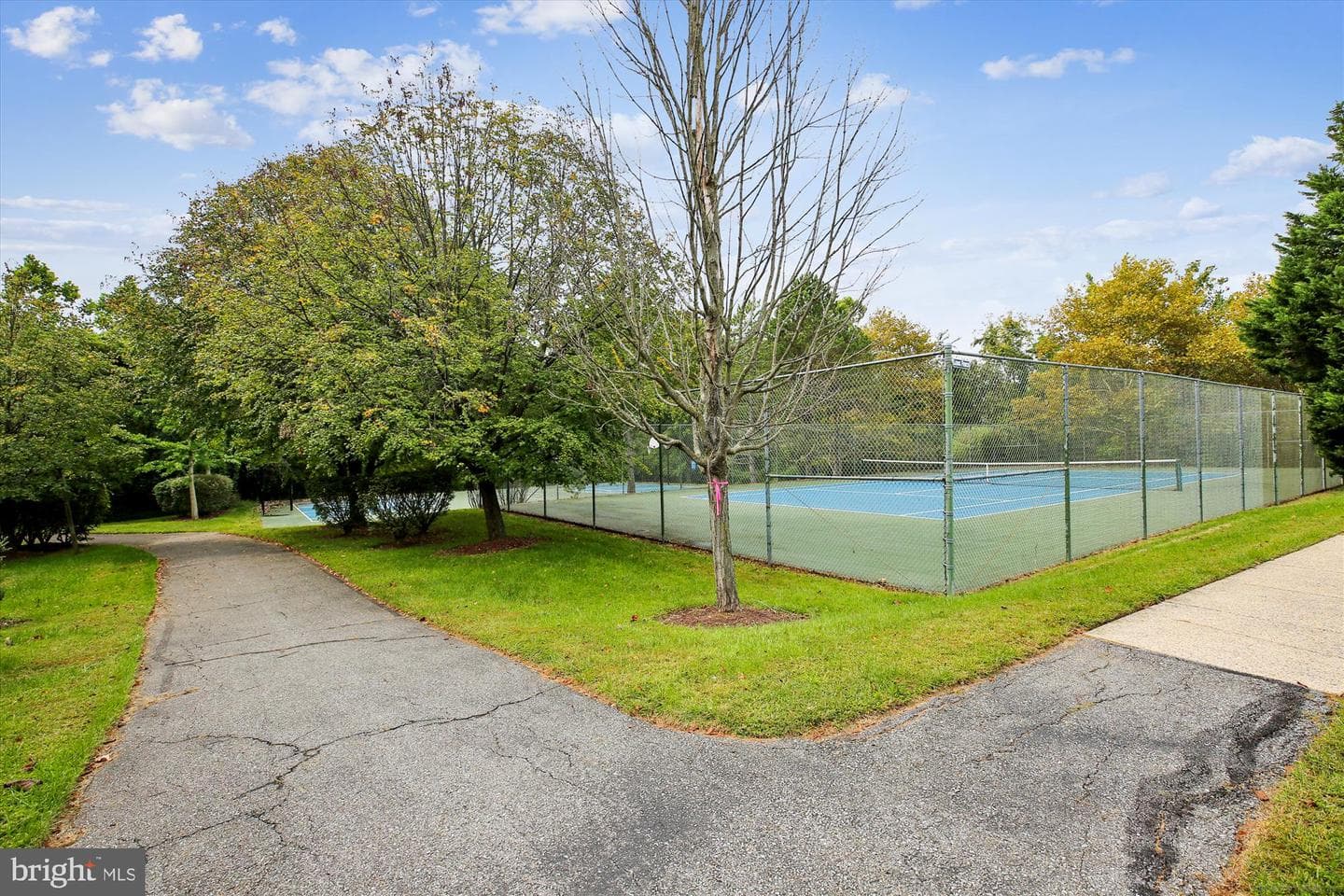 435 Winding Rose Drive photo 57