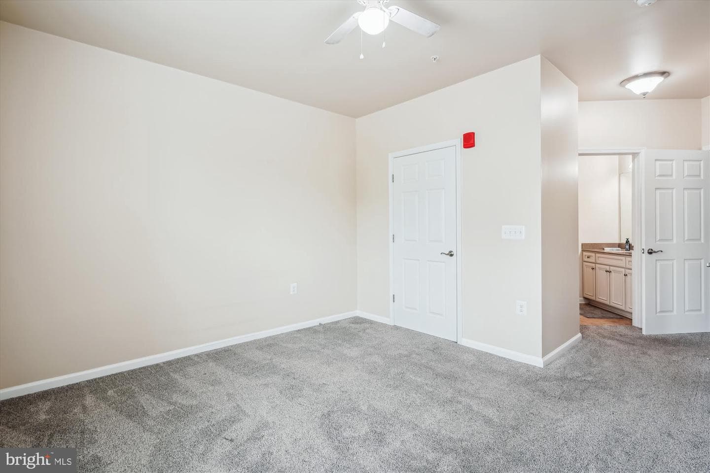 3750 Clara Downey #22 photo 17