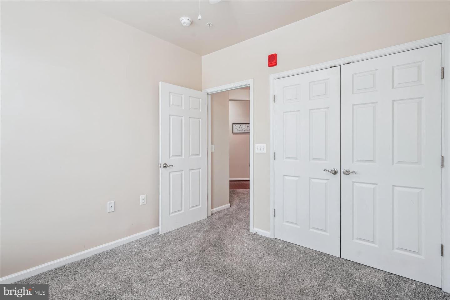 3750 Clara Downey #22 photo 19