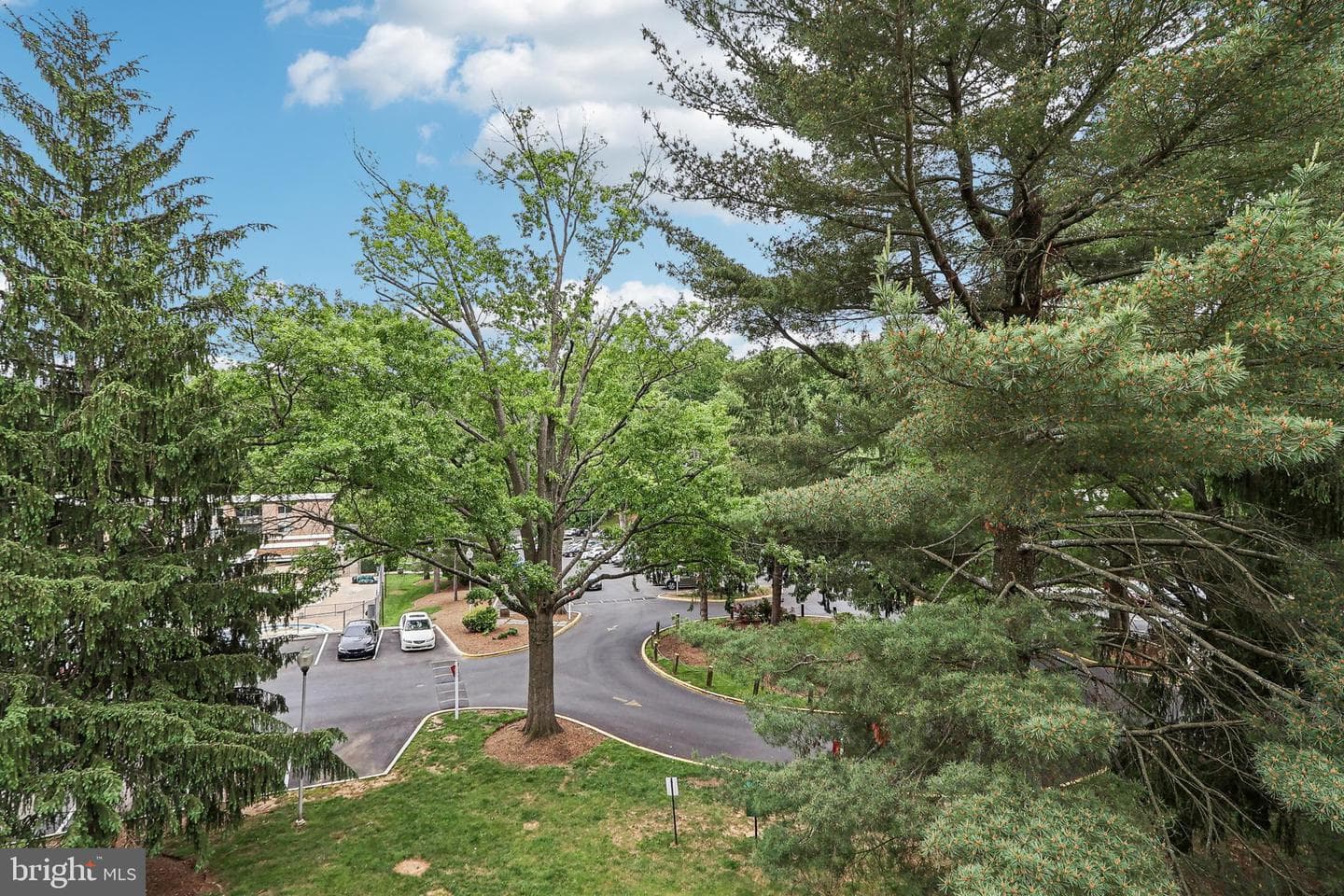 12204 Braxfield Court #242 photo 33