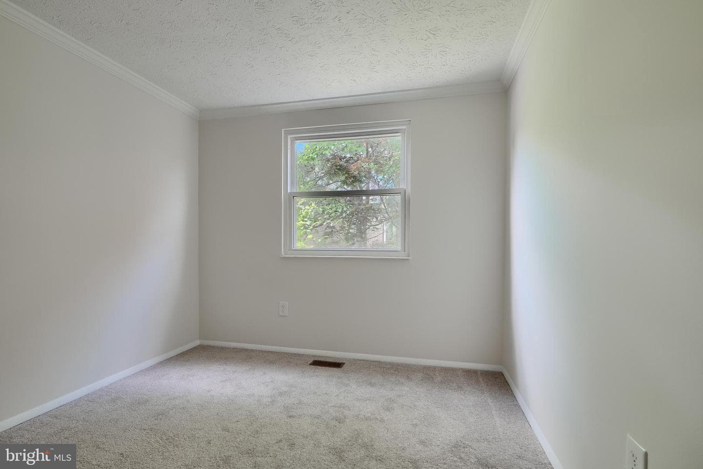 8838 Cross Country Place photo 21