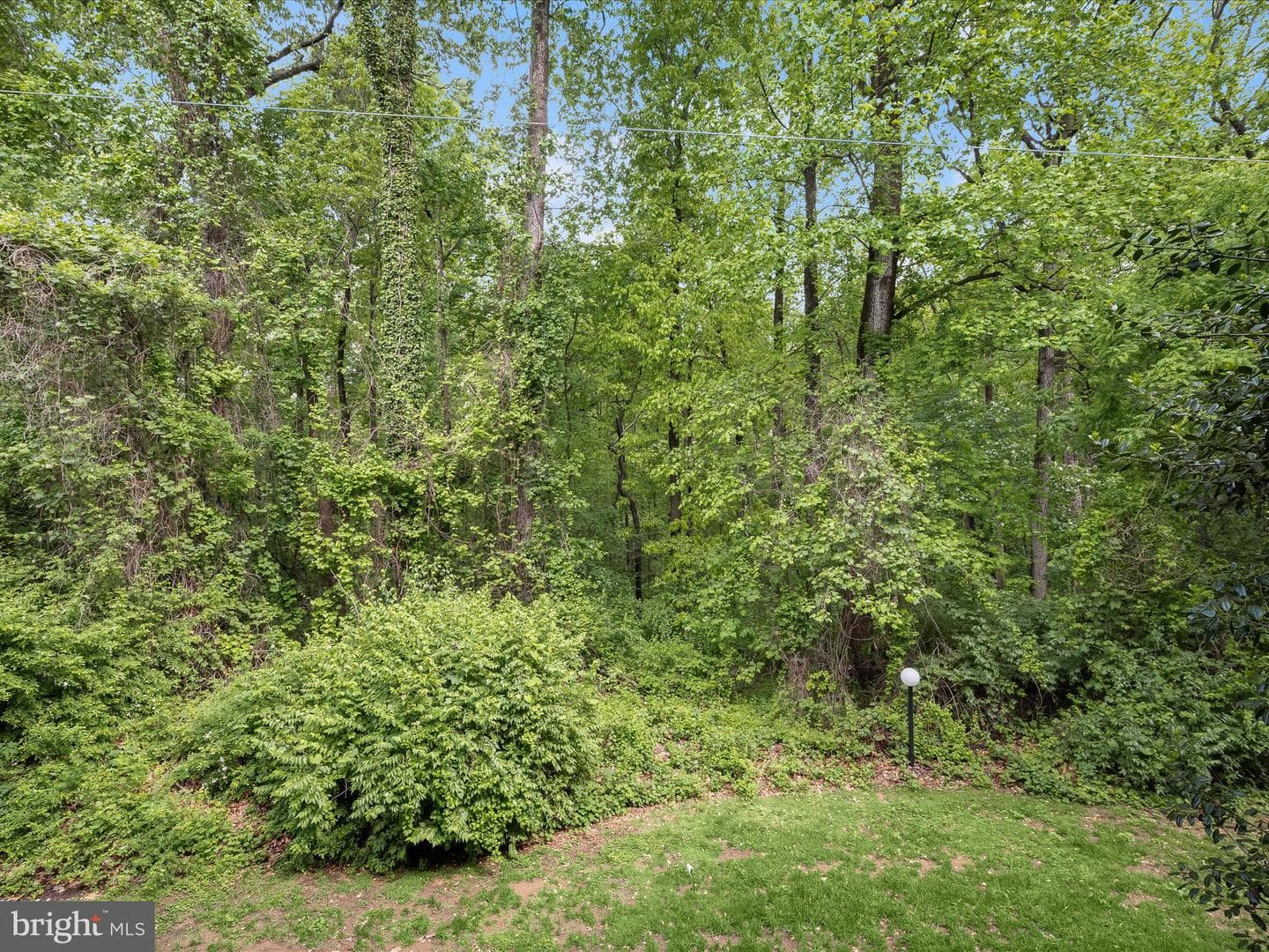 7545 Spring Lake Drive #7545-B photo 21