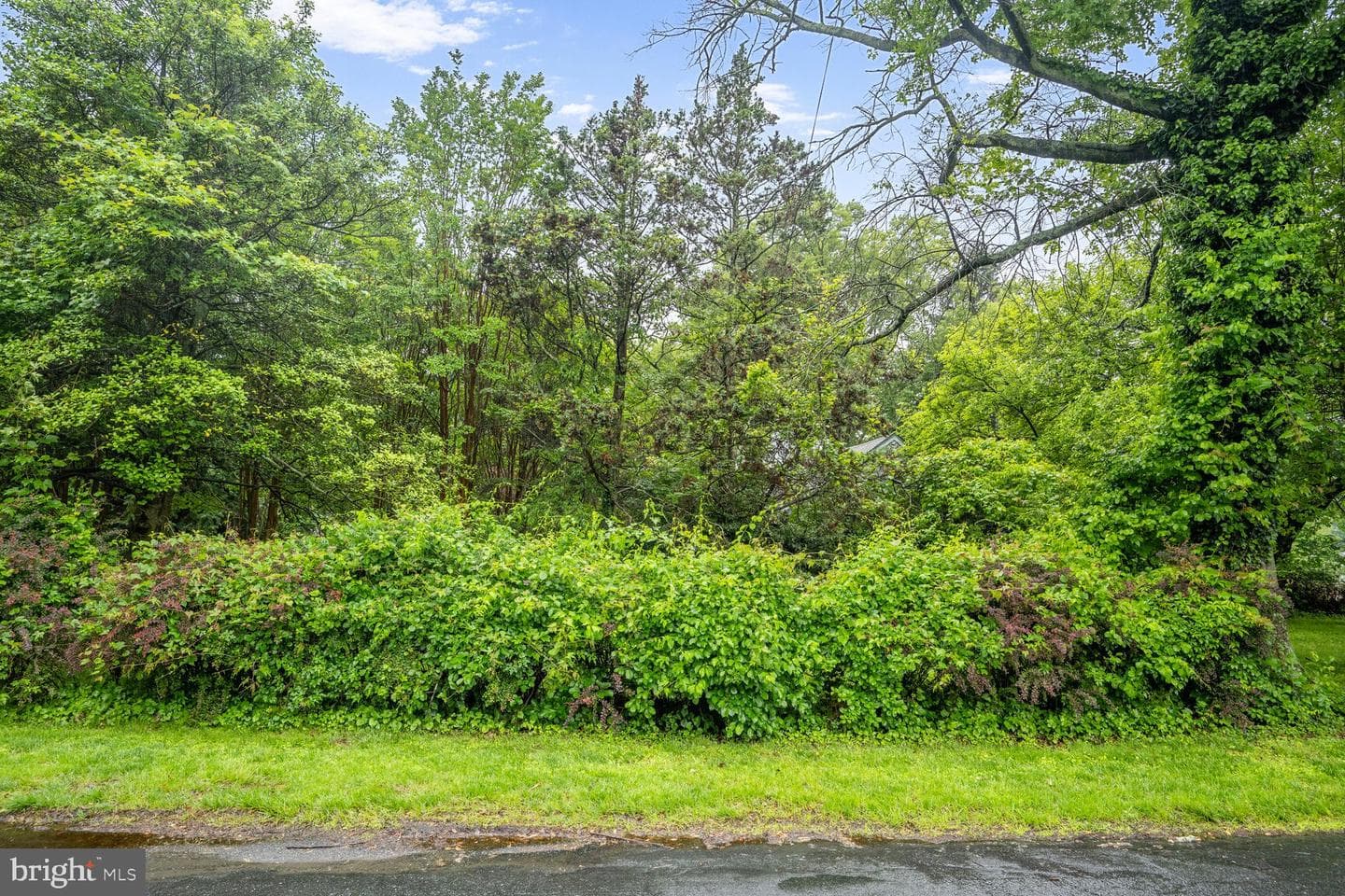 12820 Baker Drive photo 5