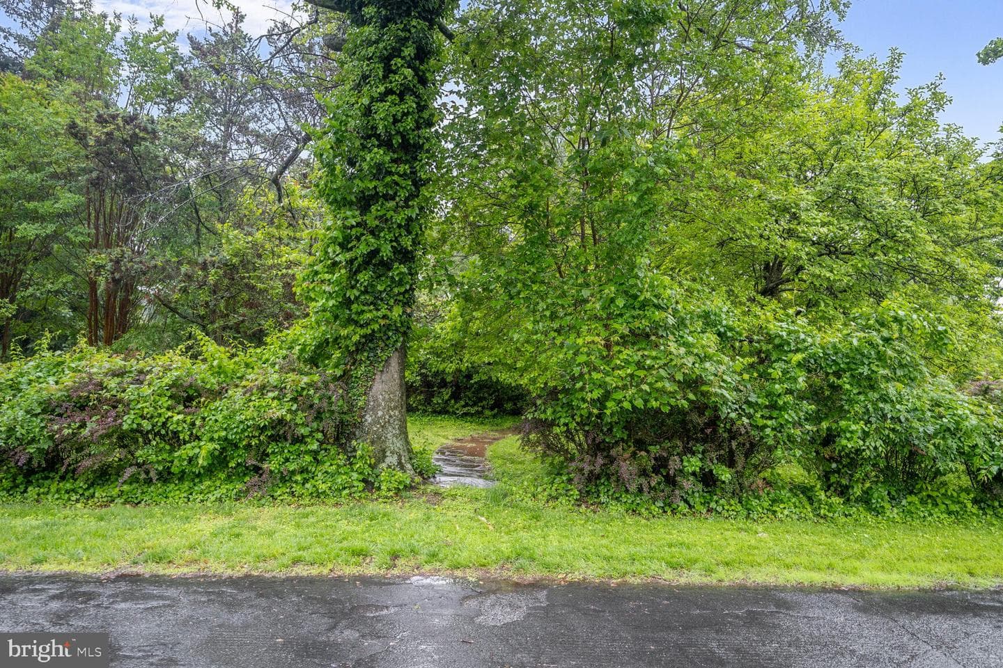12820 Baker Drive photo 6