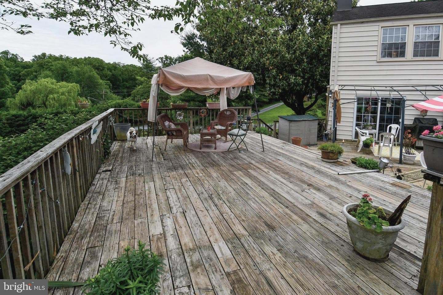 1310 Hornell Drive photo 63