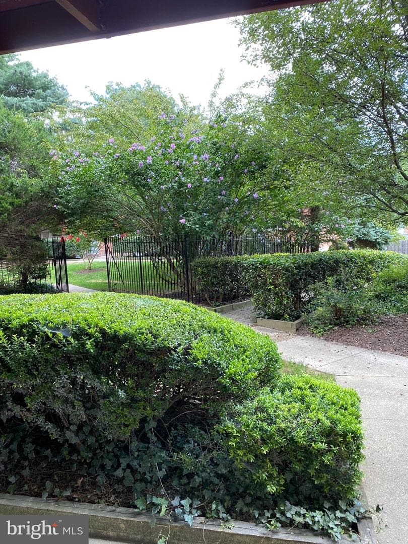 3419 University Boulevard W #102 photo 12