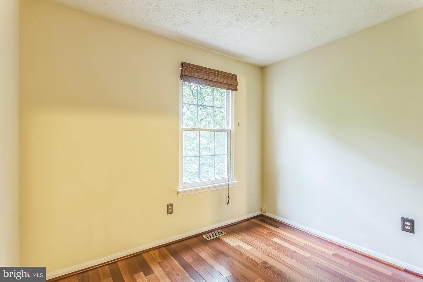 12041 Winding Creek Way photo 10