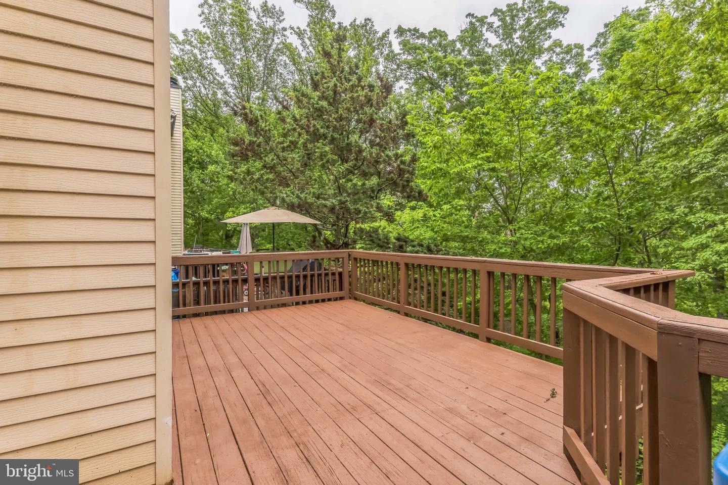 12041 Winding Creek Way photo 14