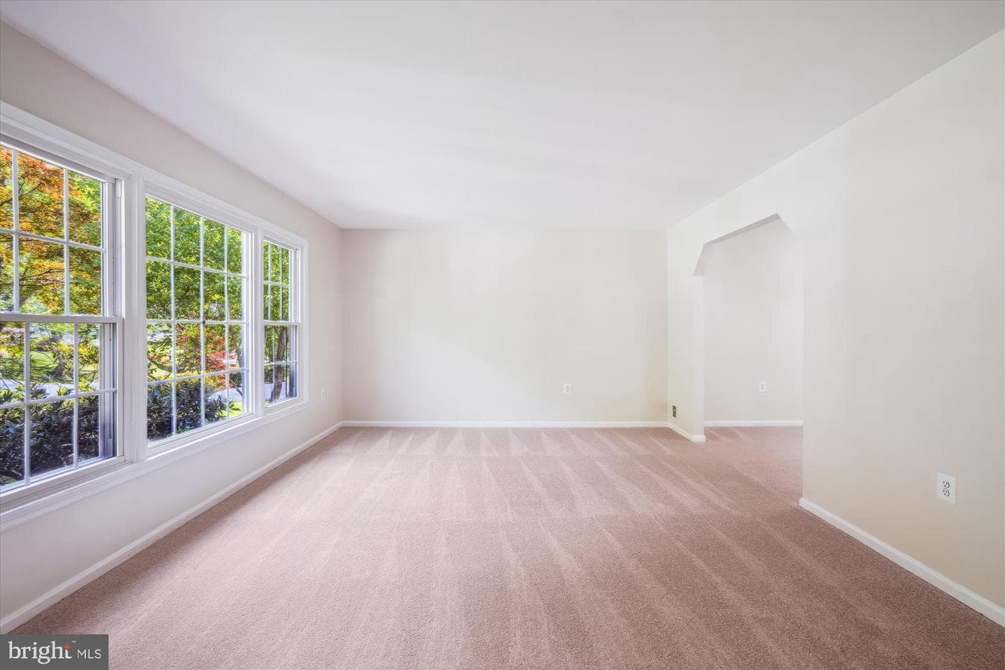 4826 Cherry Valley Drive photo 22