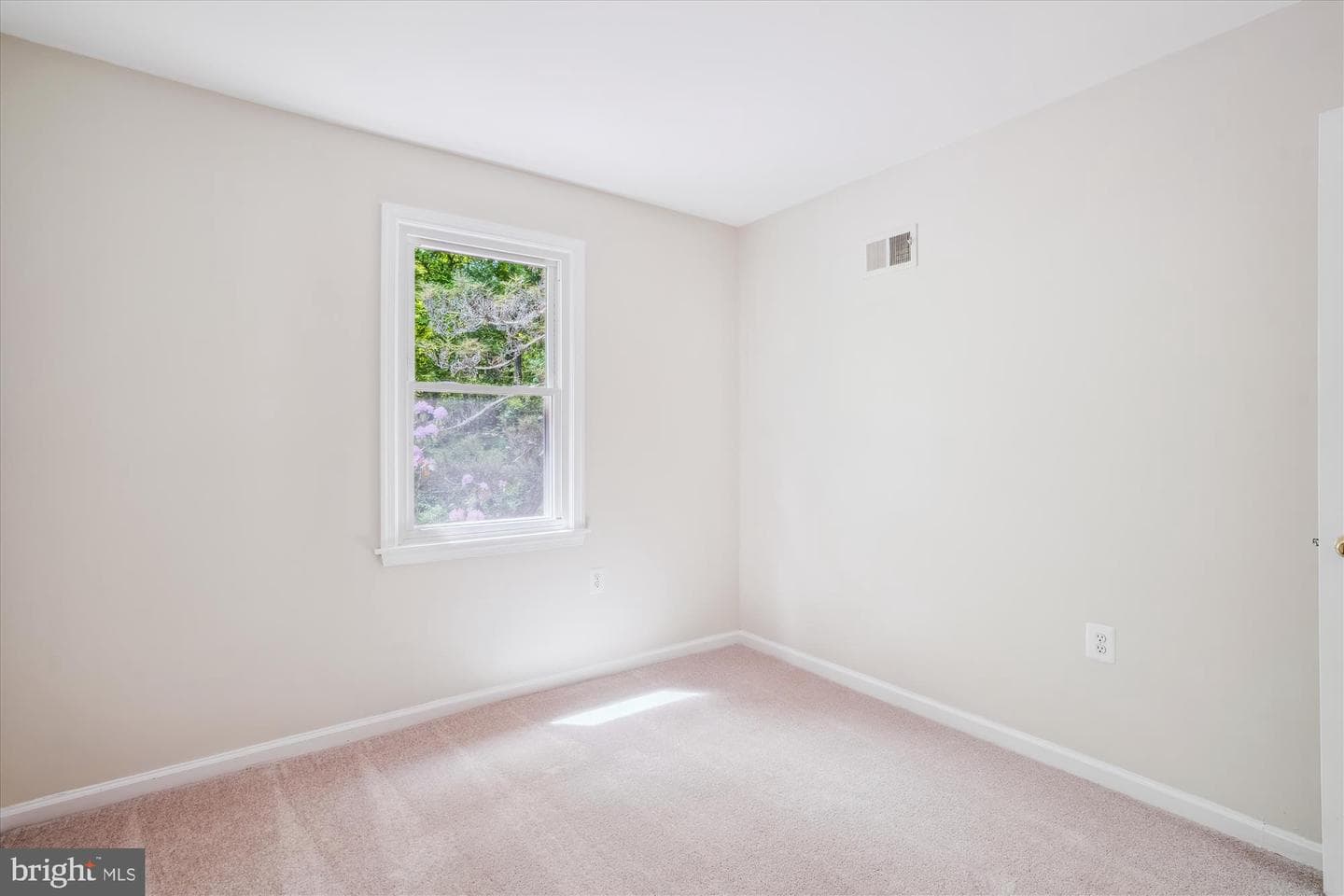 4826 Cherry Valley Drive photo 45