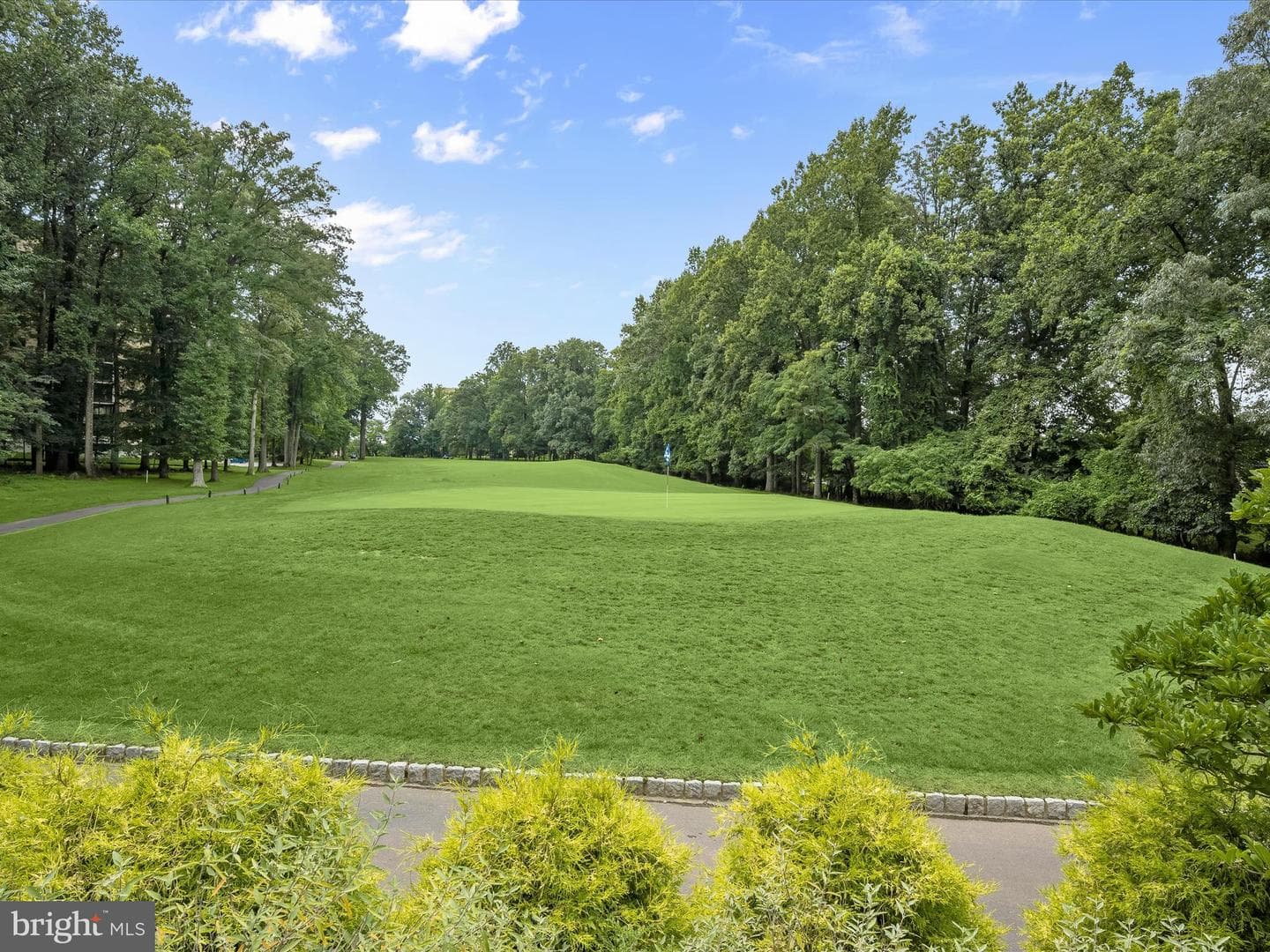 15107 Interlachen Drive #2-919 photo 31
