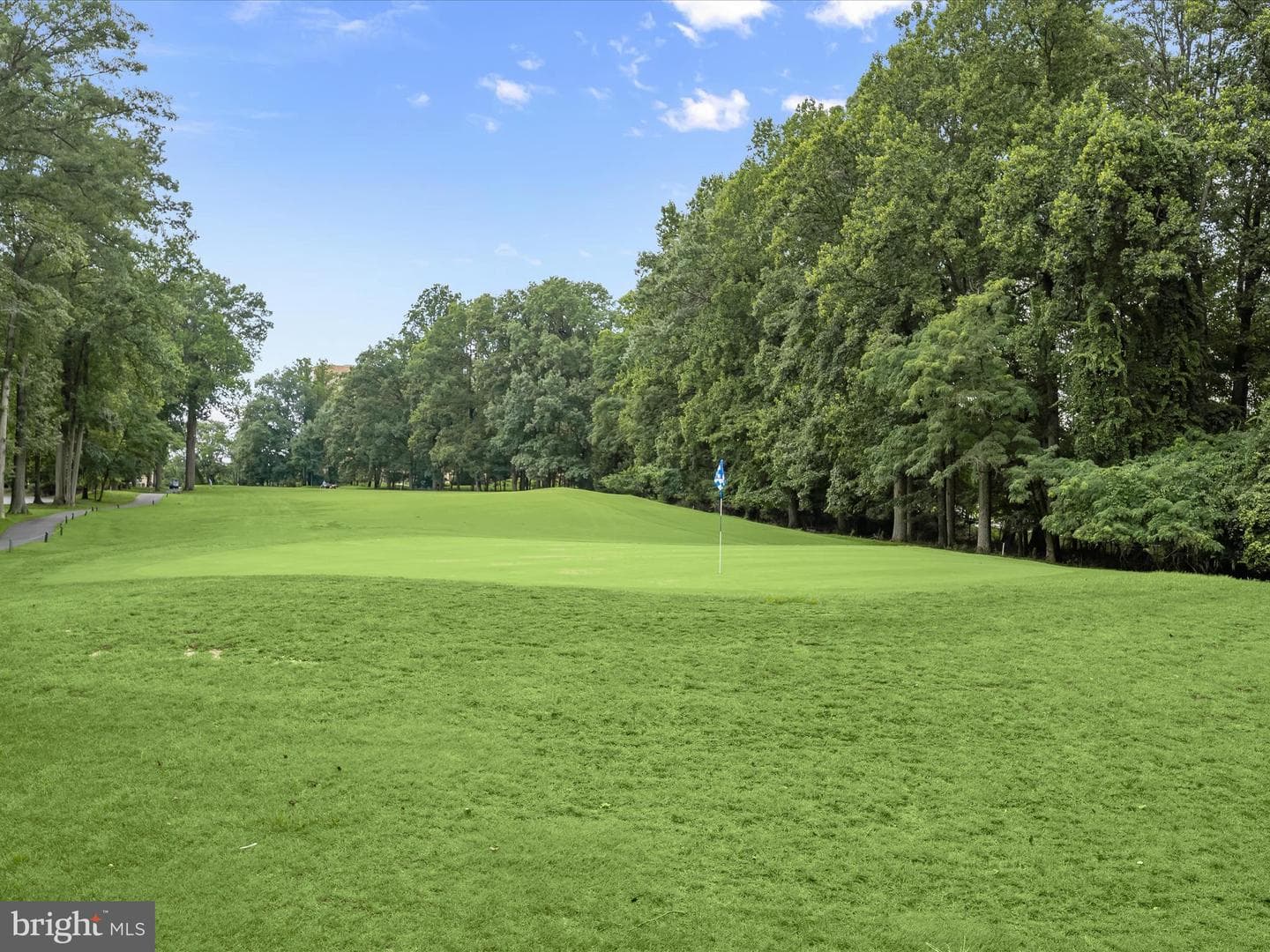 15107 Interlachen Drive #2-919 photo 32