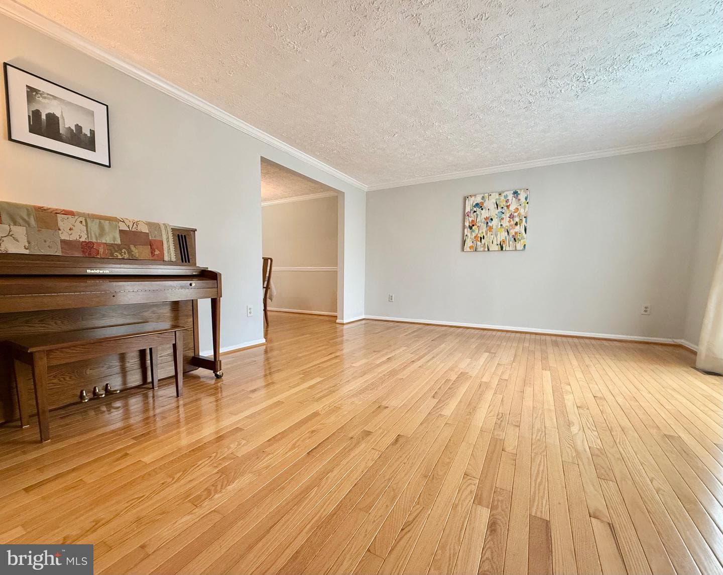 14525 Settlers Landing Way photo 2