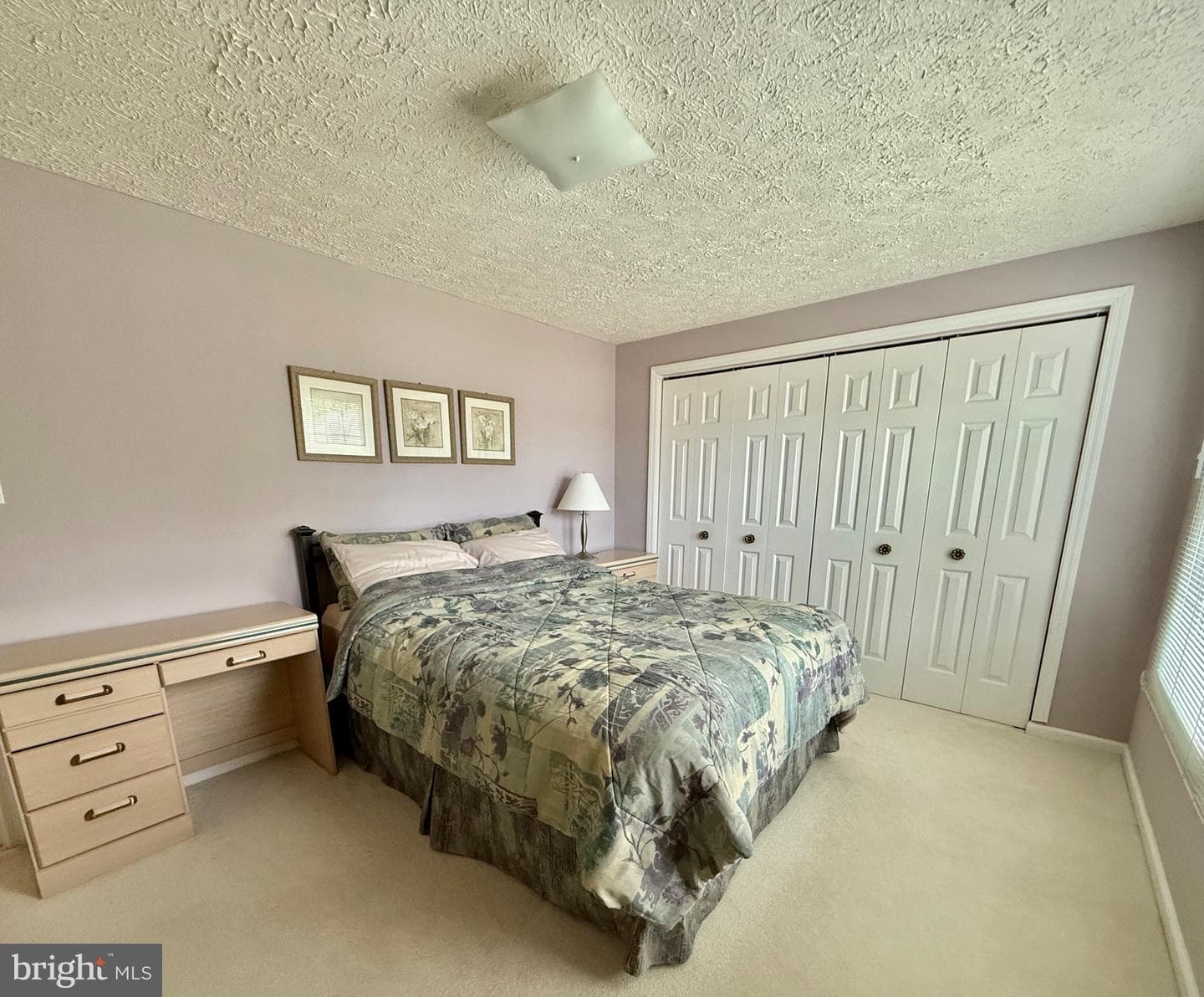14525 Settlers Landing Way photo 26