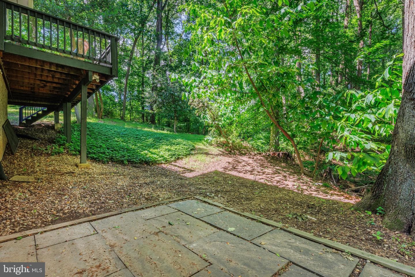 6921 Carlynn Court photo 57