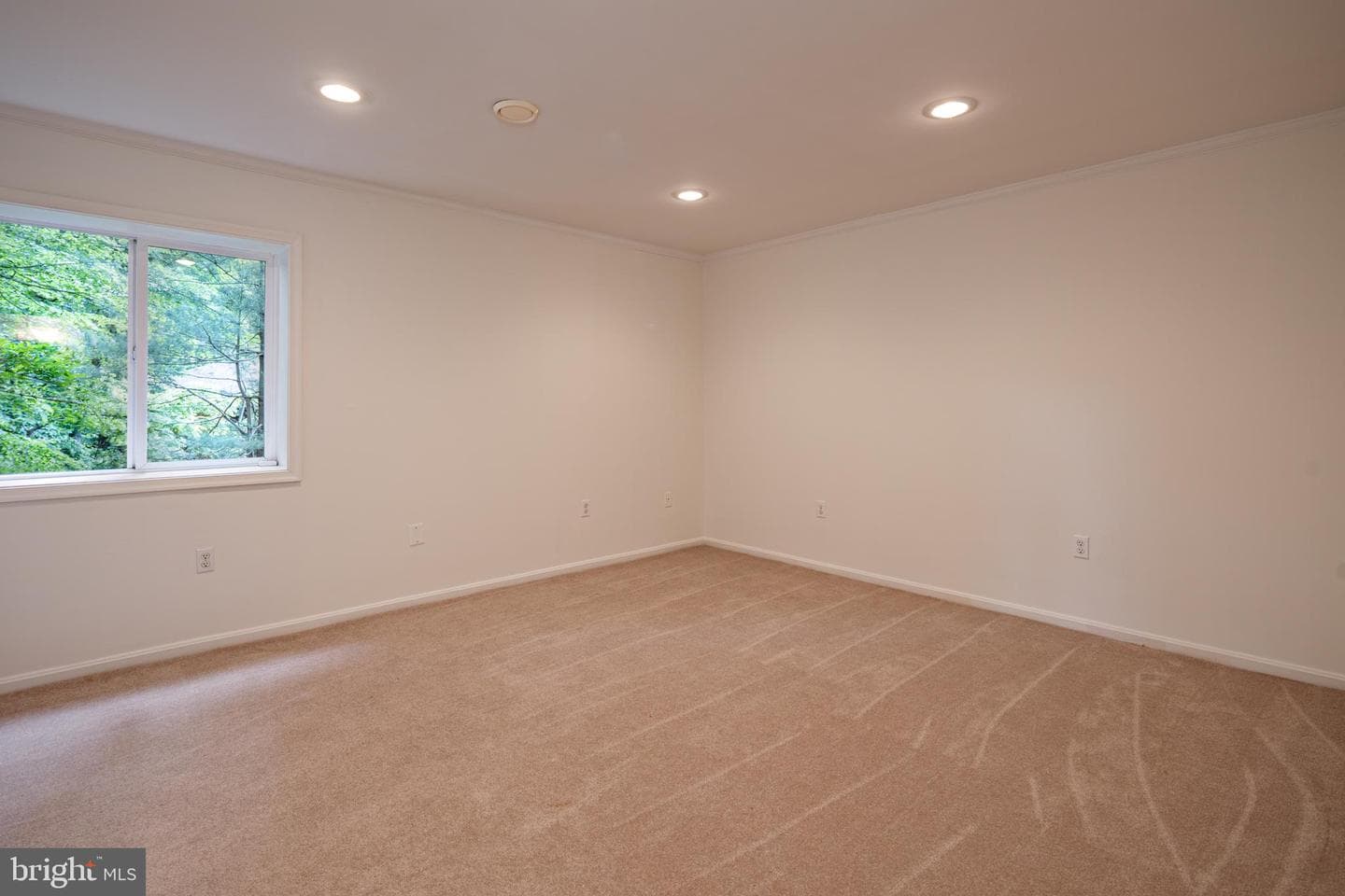 6921 Carlynn Court photo 61