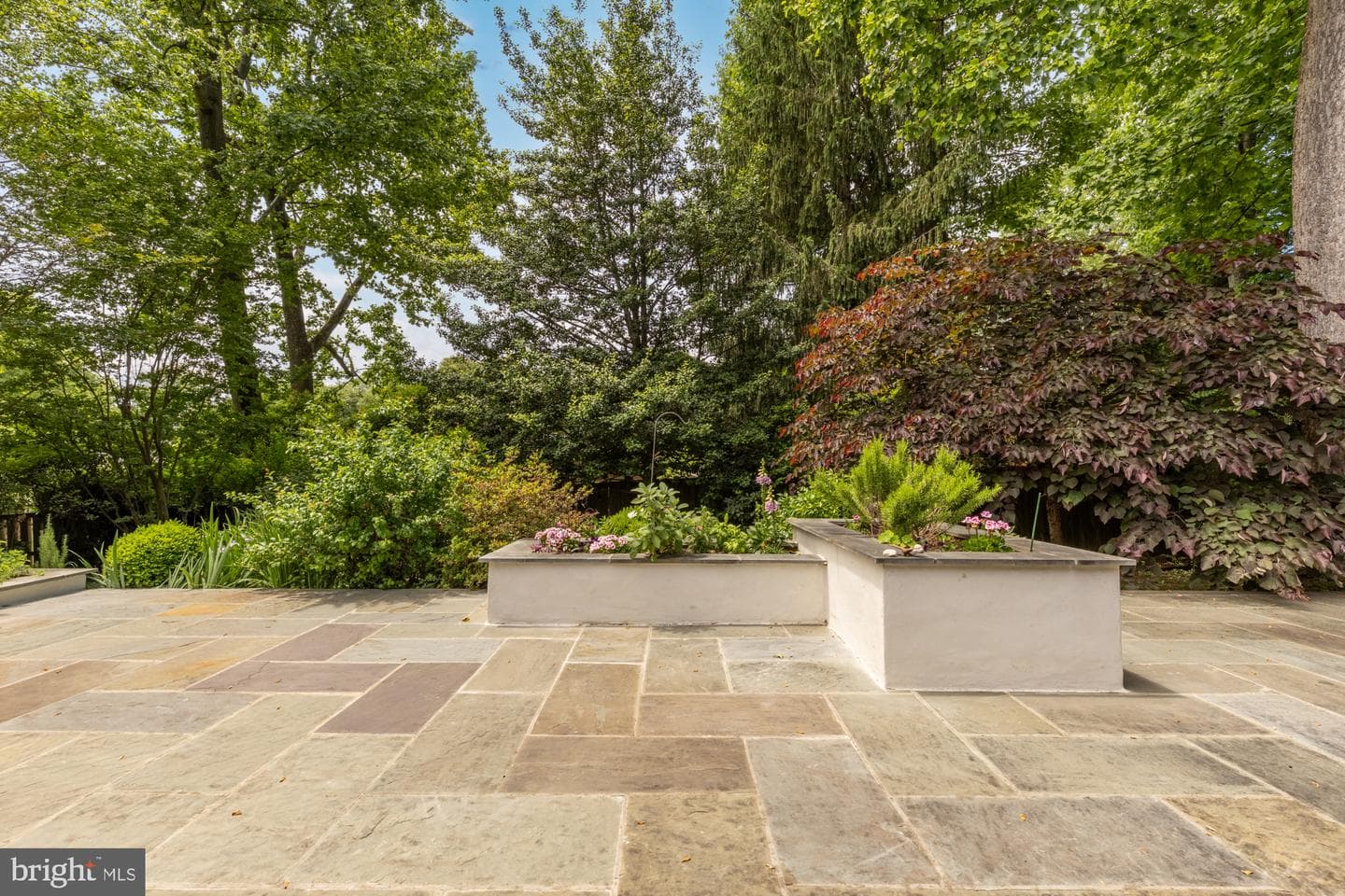 6804 Granby Street photo 38