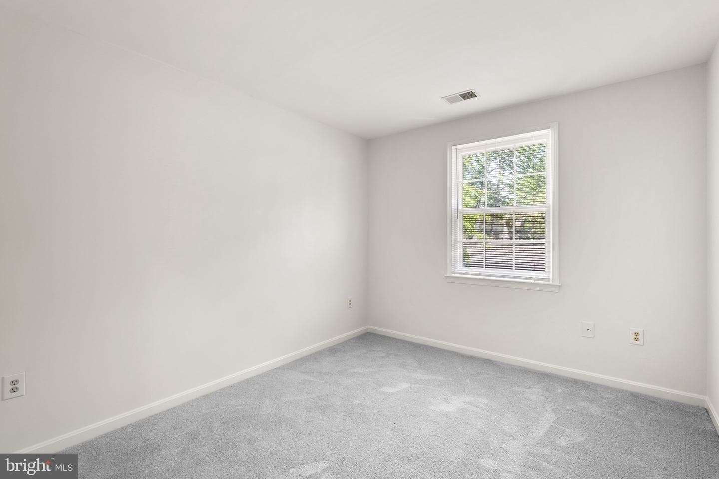 215 Firehouse Lane photo 21