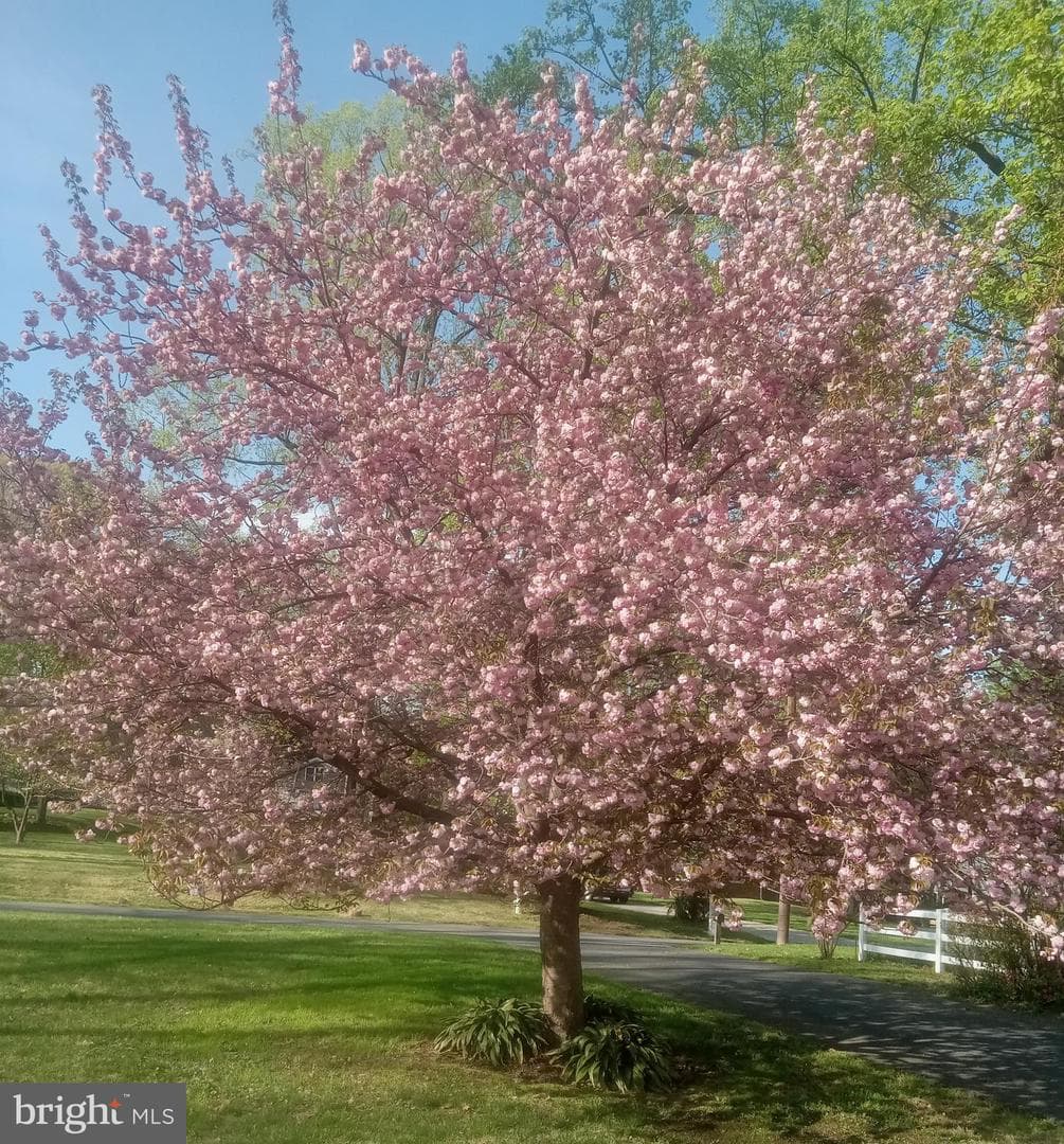 807 Midland Road photo 54