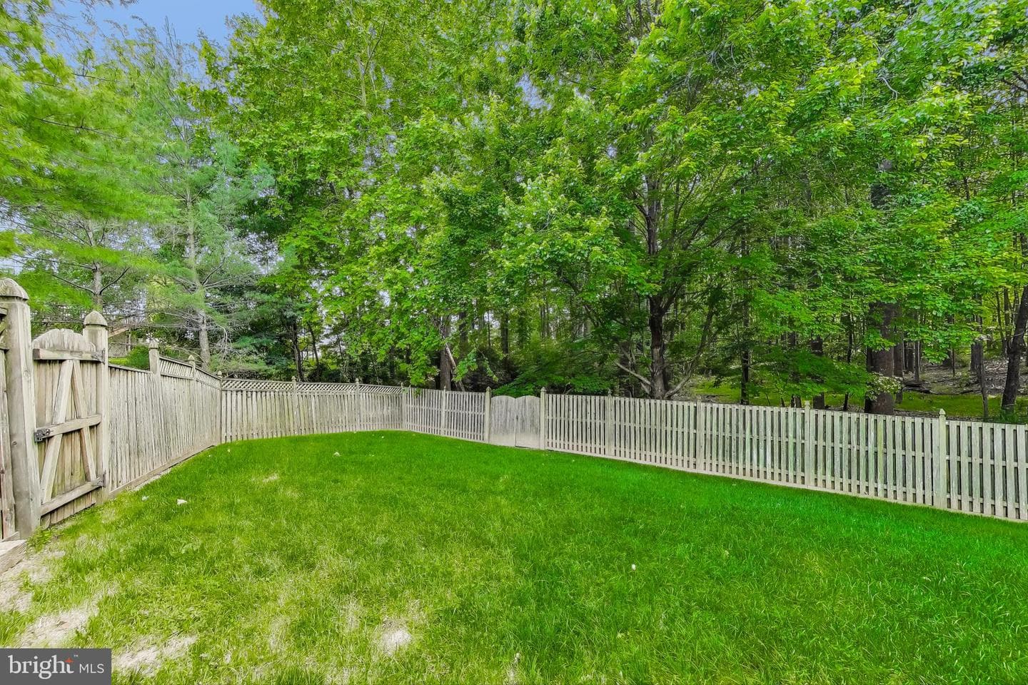 11211 Little Fox Lane photo 41