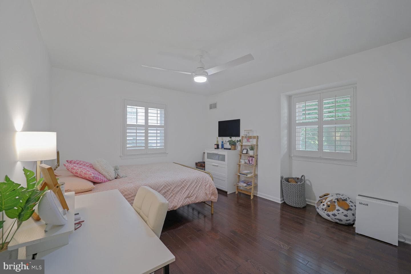 203 Nelson Street photo 24