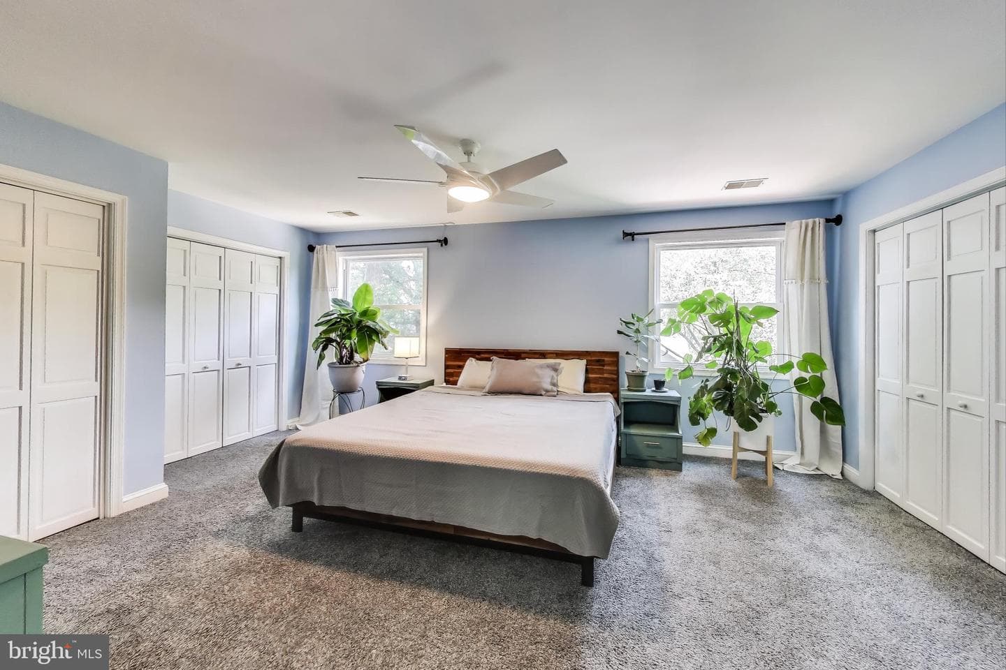 805 Islington Street photo 22